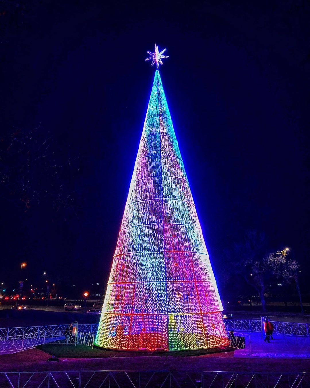 Go see the Mile High Tree – 303 Pulse