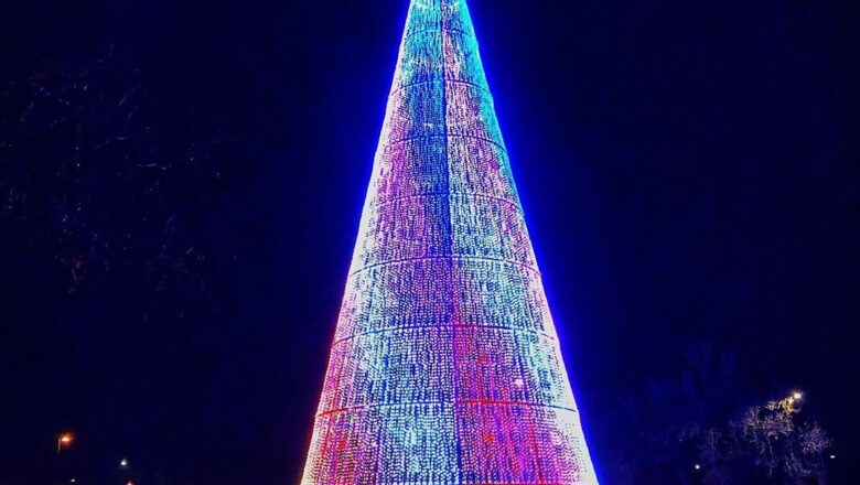 Go see the Mile High Tree